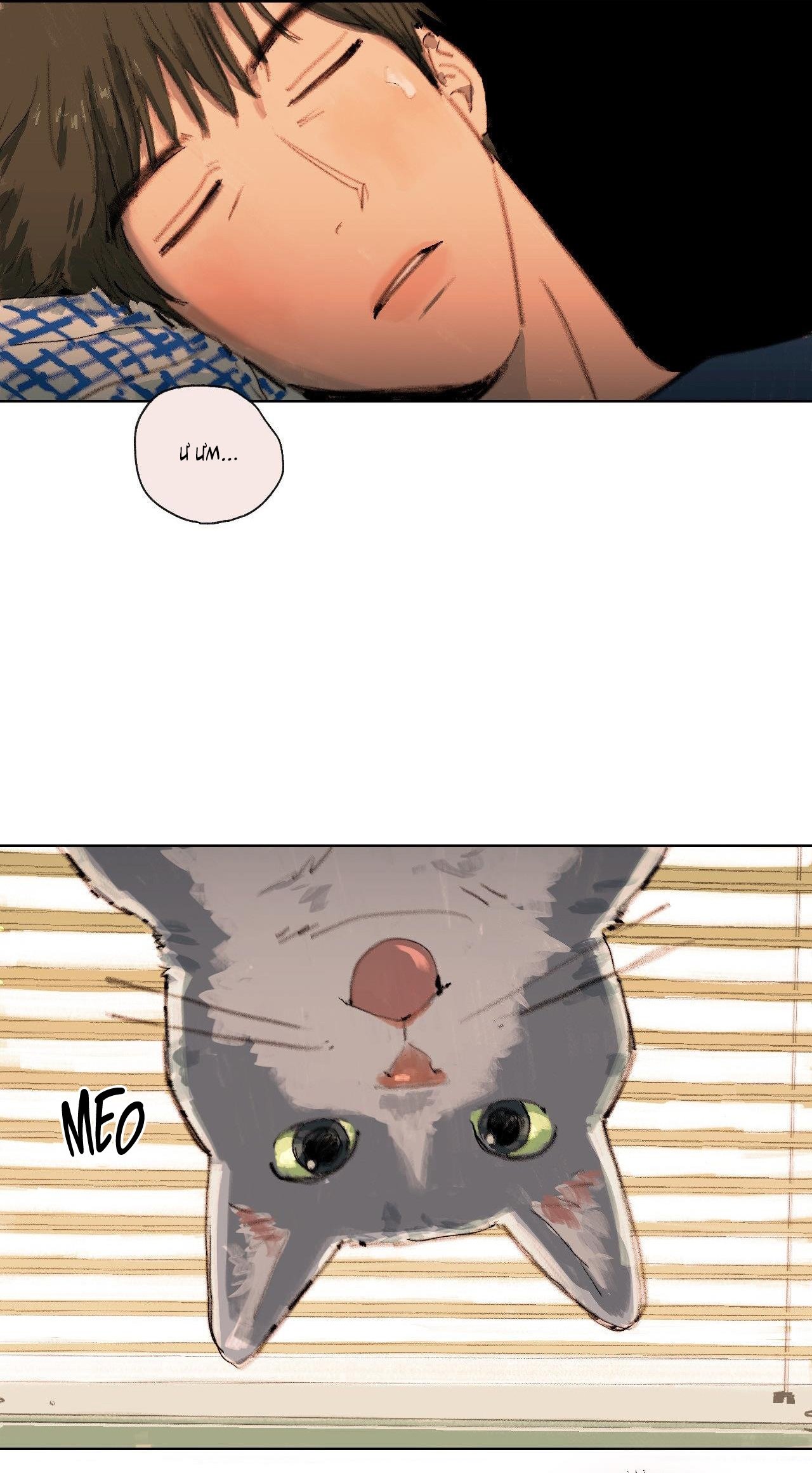 Khởi Đầu Của Mùa Hạ Chap 4 - Next Chap 5