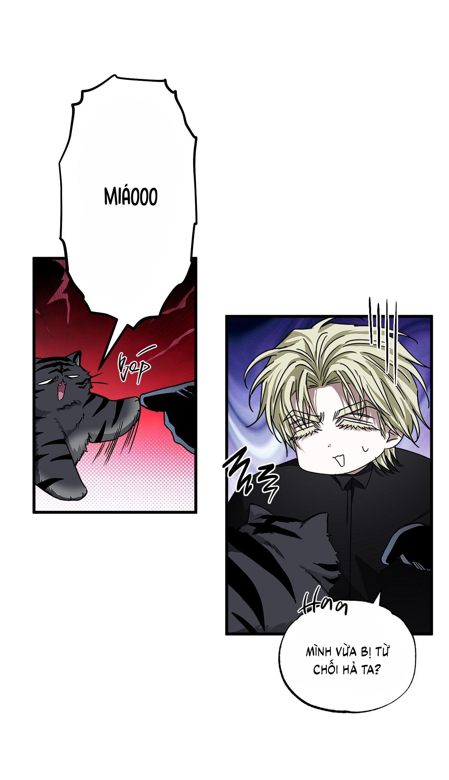 Vân Long Phong Hổ Chap 14 - Next Chap 15