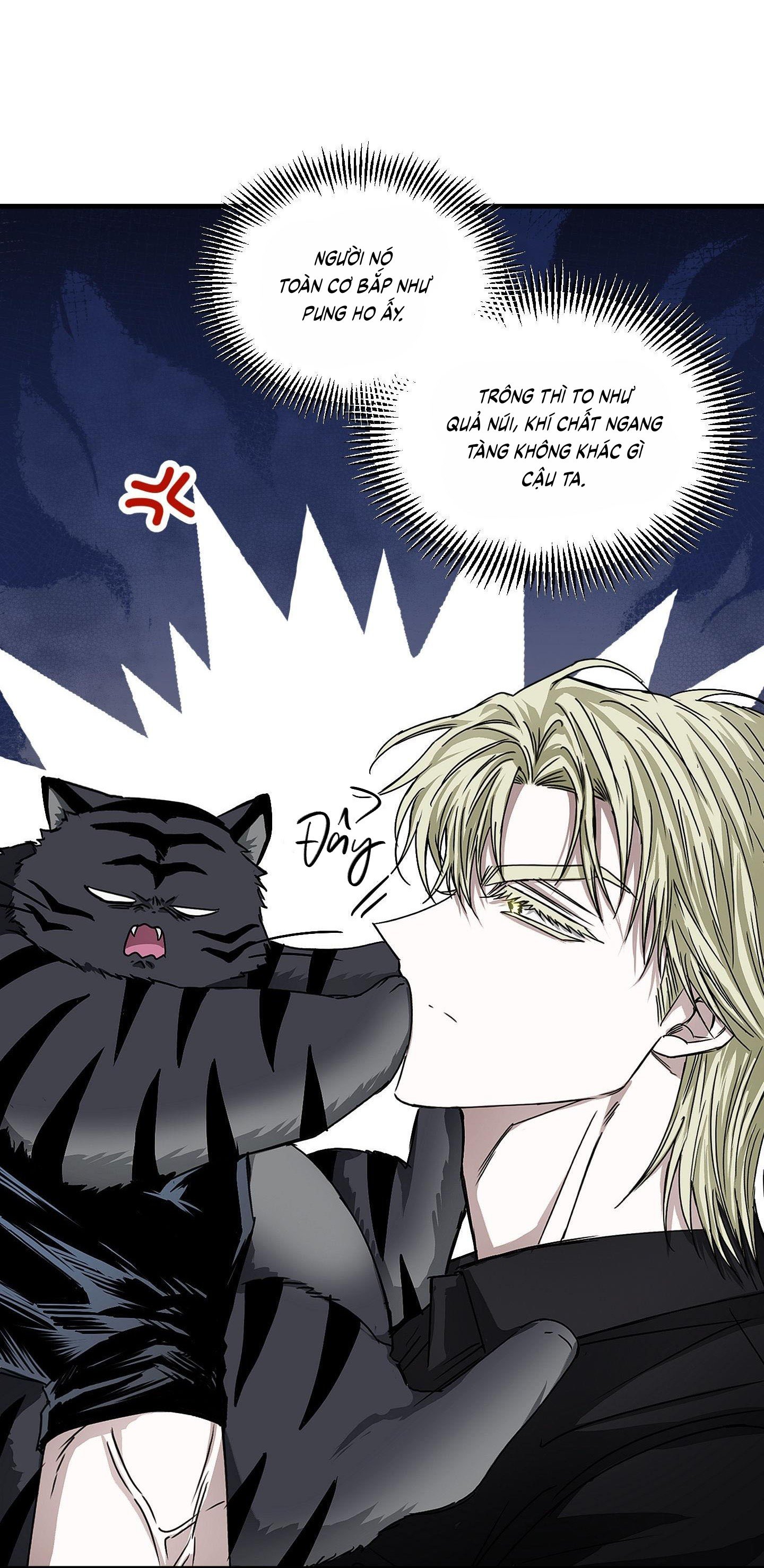 Vân Long Phong Hổ Chap 14 - Next Chap 15
