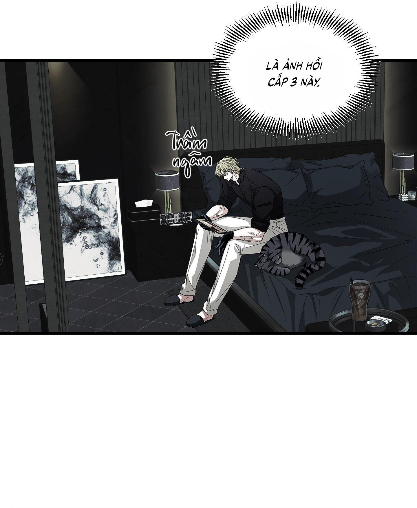 Vân Long Phong Hổ Chap 14 - Next Chap 15