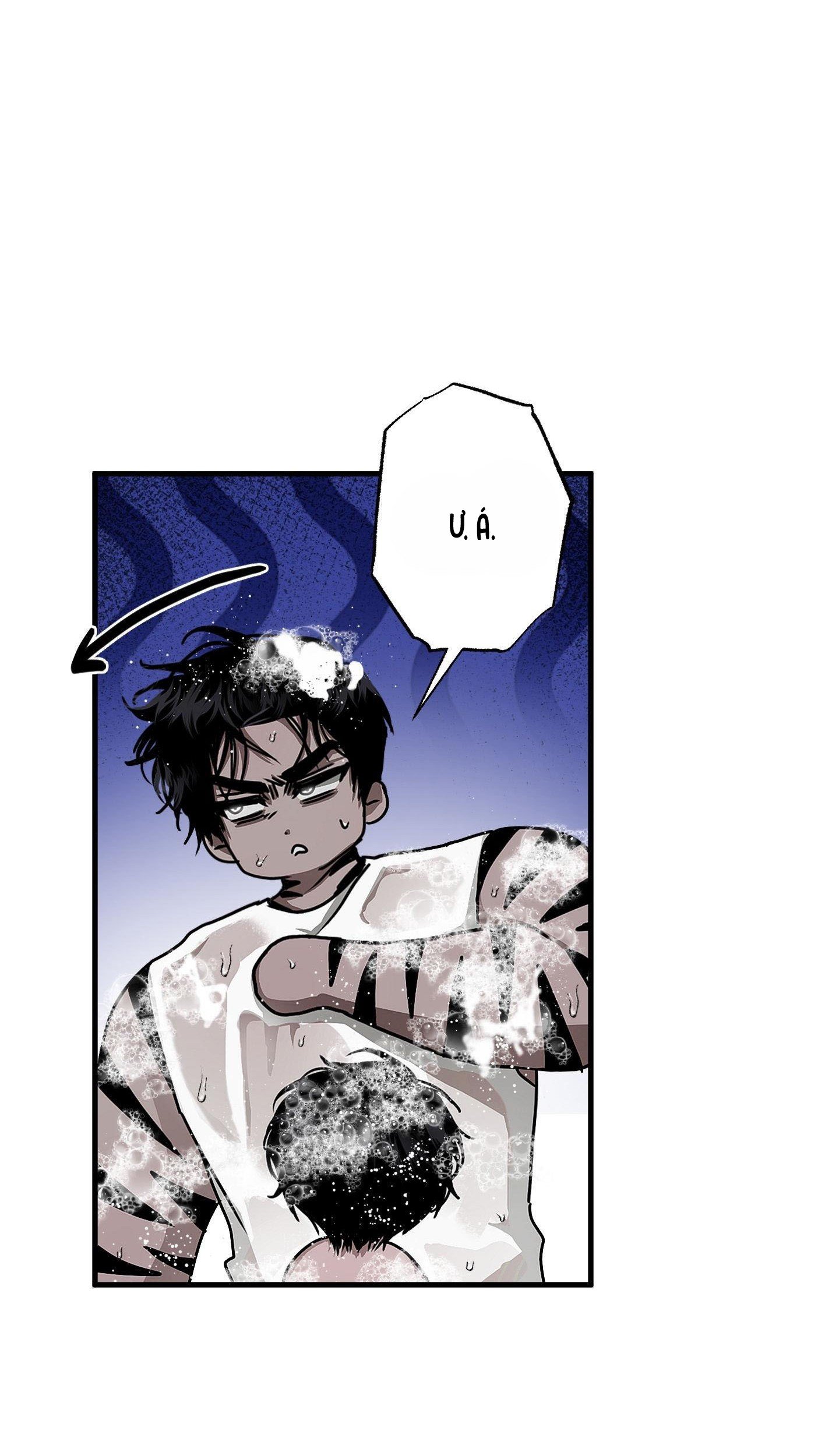 Vân Long Phong Hổ Chap 14 - Next Chap 15