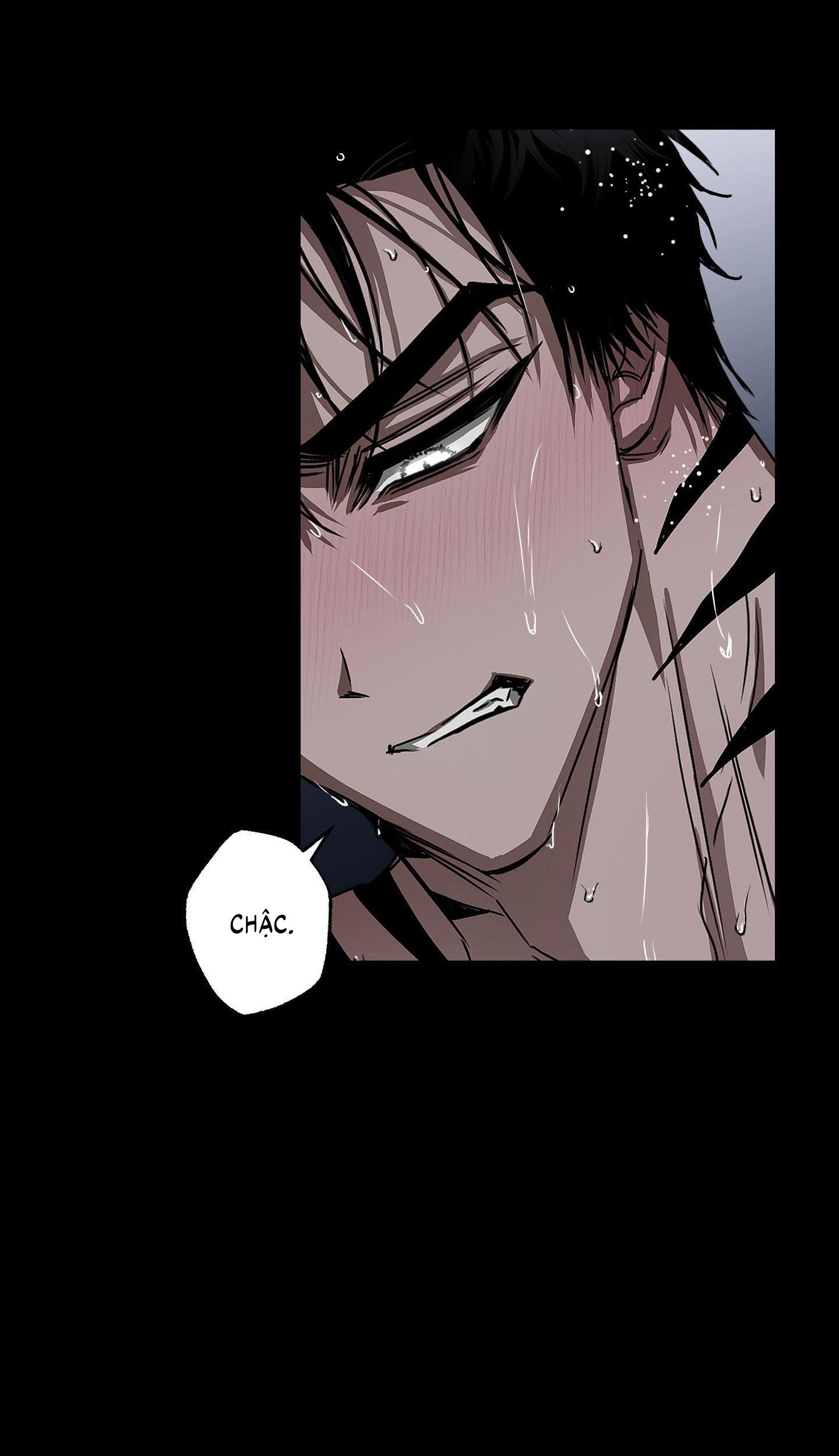 Vân Long Phong Hổ Chap 14 - Next Chap 15